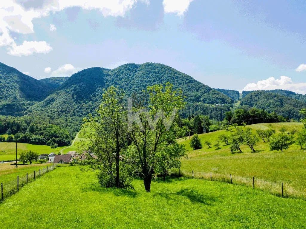 1527 Acres of Land for Sale in Celje, Savinjska - land for sale