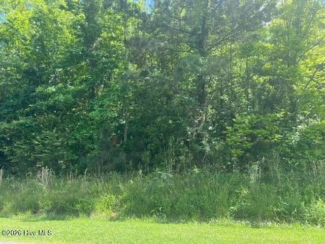 1.12 Acres of Land for Sale in Aurora, North Carolina - Aurora, North Carolina, 27806