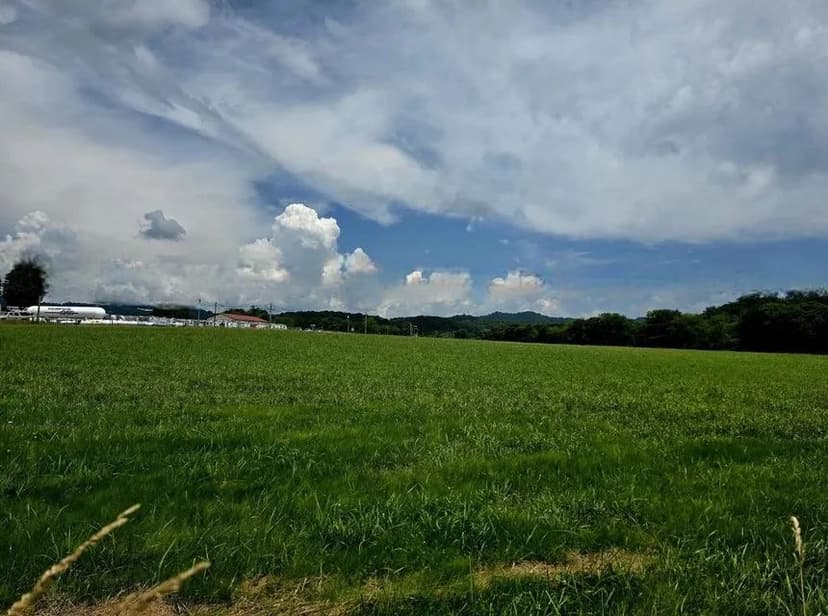 Lots & Land-Other in Summersville