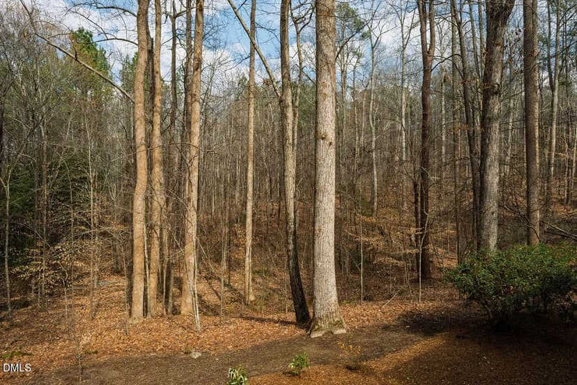 Vacant Land in Chapel Hill