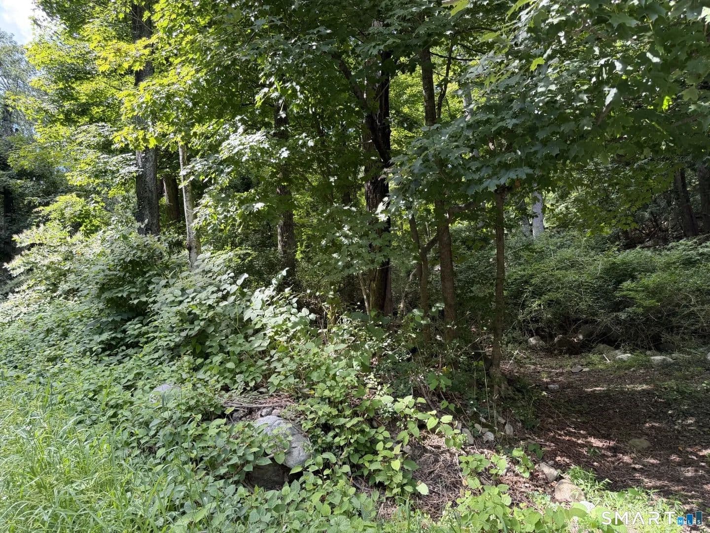 Vacant Land in Stamford - Stamford, Connecticut, 06903