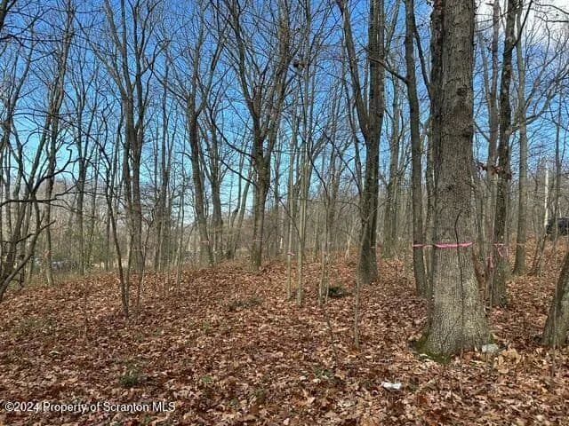 Lots & Land-Other in Jefferson Twp - Pennsylvania, 18436