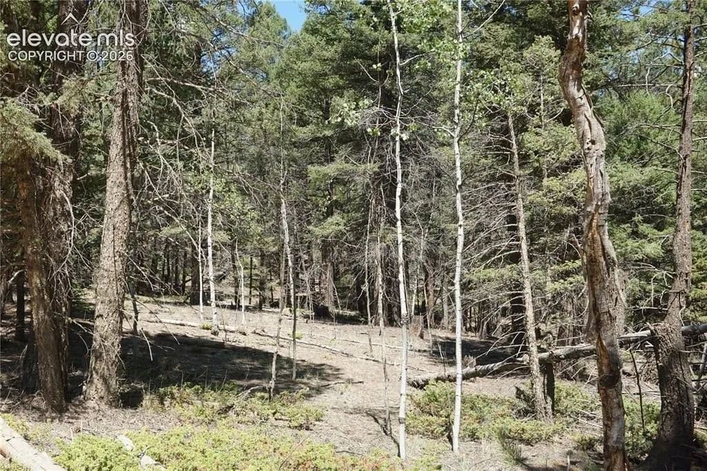 Lots & Land-Other in Florissant - Florissant, Colorado, 80816