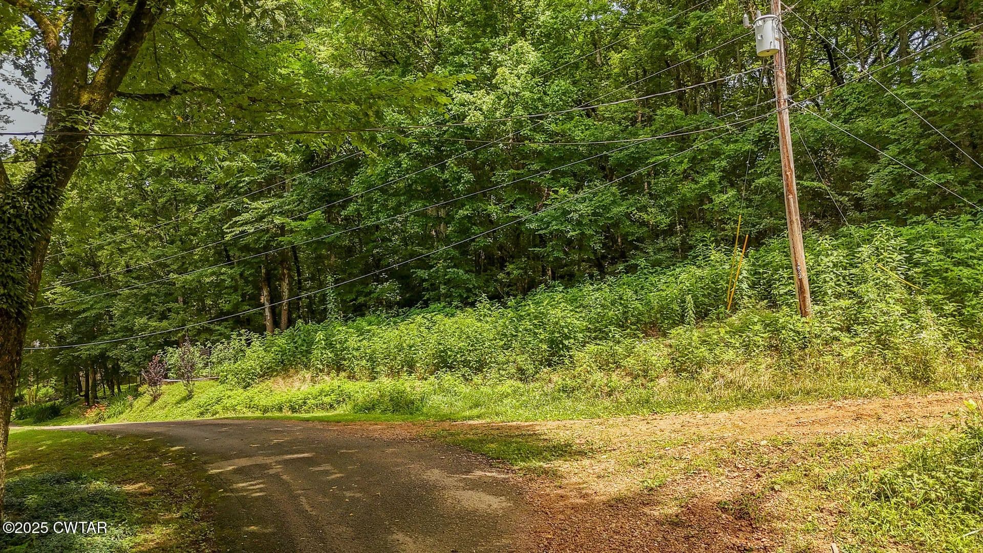 Vacant Land in Savannah - Savannah, Tennessee, 38372