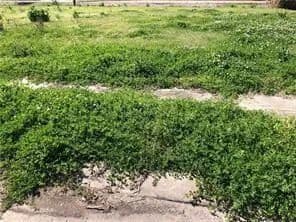 Lots & Land-Other in Chalmette - Chalmette, Louisiana, 70043