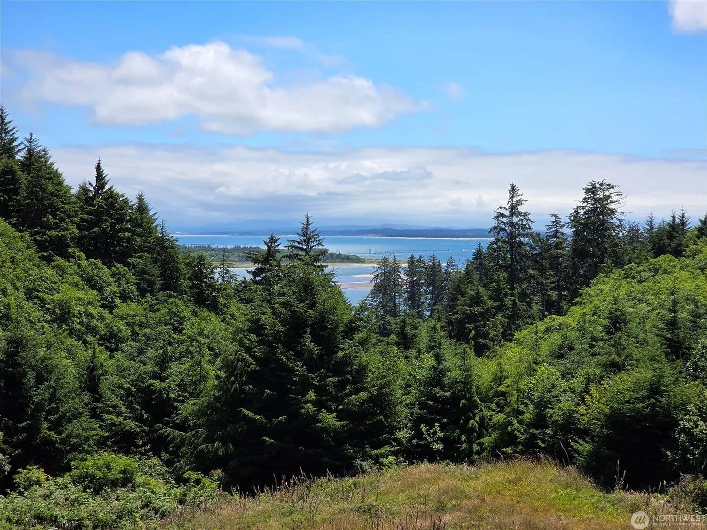 Vacant Land in Ilwaco - Ilwaco, Washington, 98624