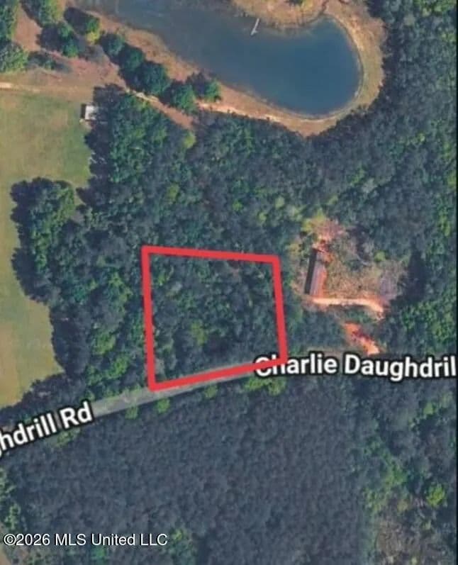 Property from 1 Acre Charlie Daughdrill Road - KW - Carriere, Mississippi, 39426