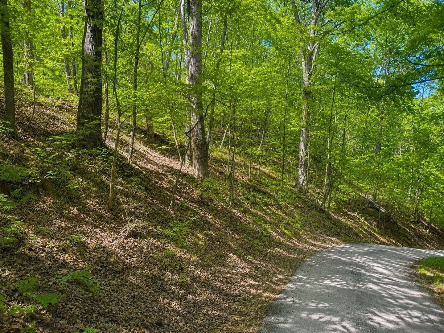 Lots & Land-Other in Smithville - Smithville, Tennessee, 37166