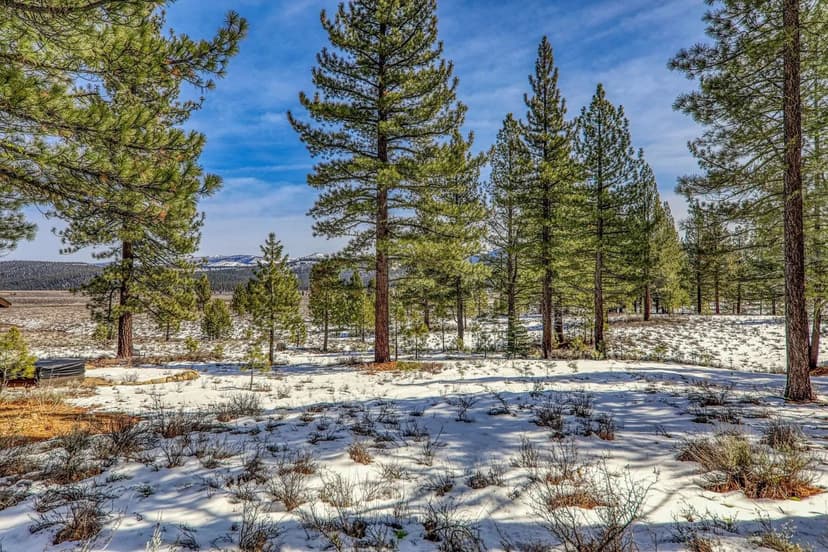 Lots & Land-Other in Truckee