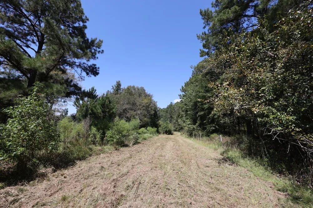 Towering Pines: Homesite and Hunting - Rentz, Georgia, 31075