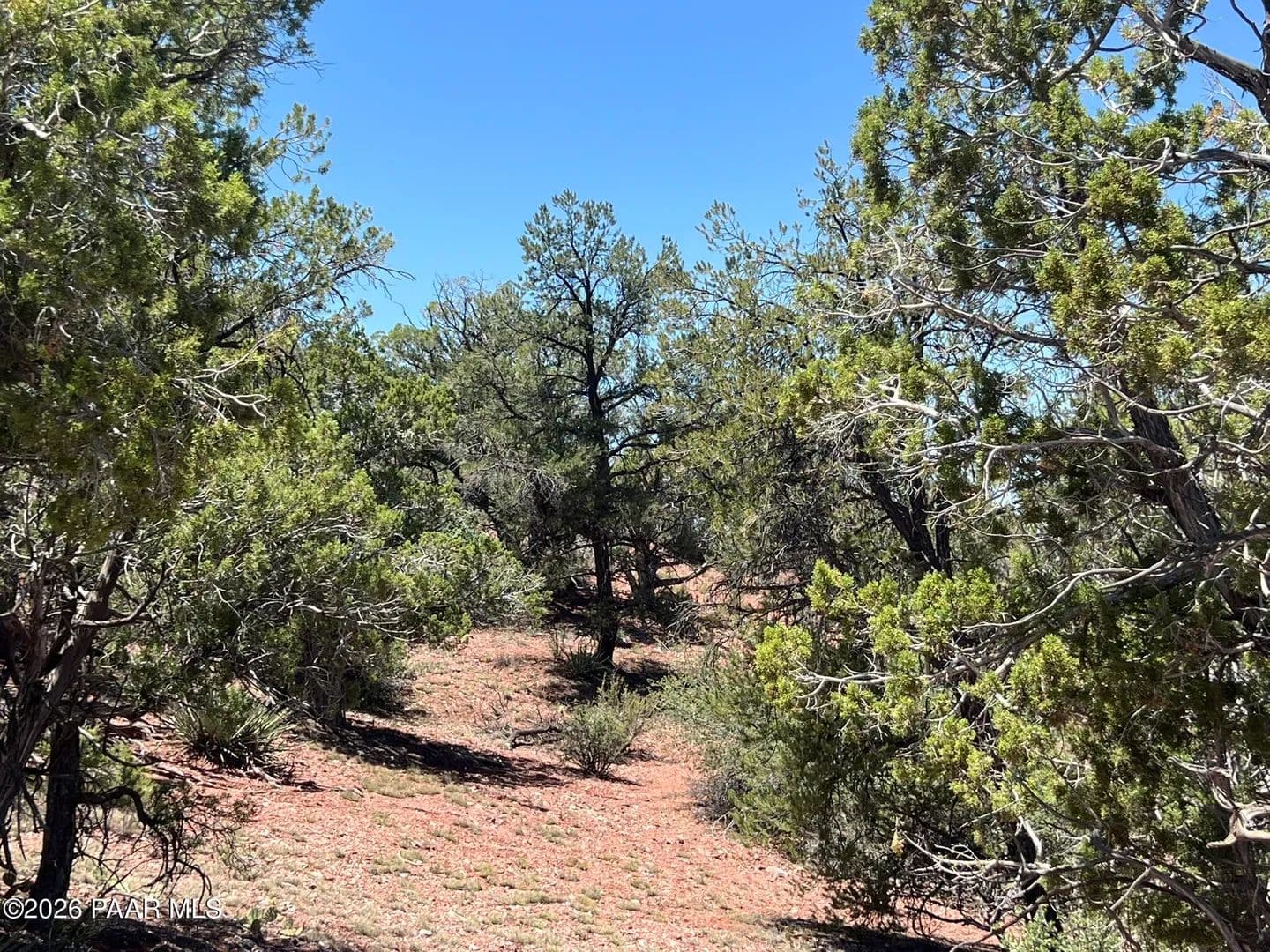 Property from 201 Cathedral Valley Road - KW - Ash Fork, Arizona, 86320