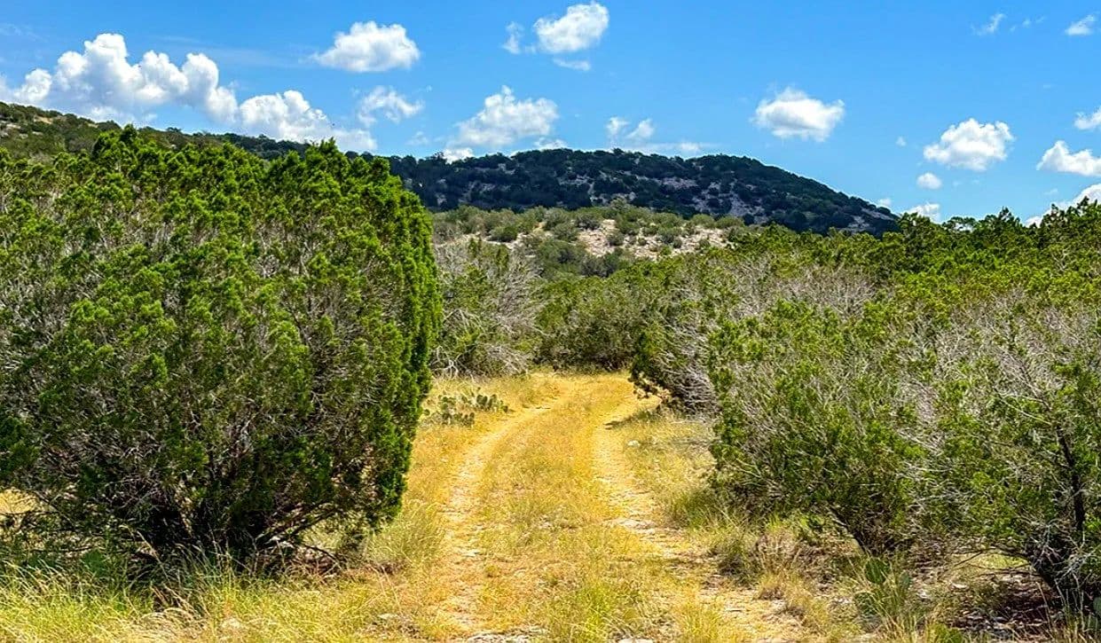 Cargill Ranch - 36 Acres, Edwards County, TX - Rocksprings, Texas, 78880