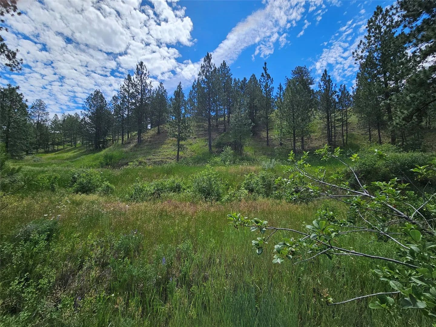 2.67 Acres of Land for Sale in Florence, MT - Florence, Montana, 59833