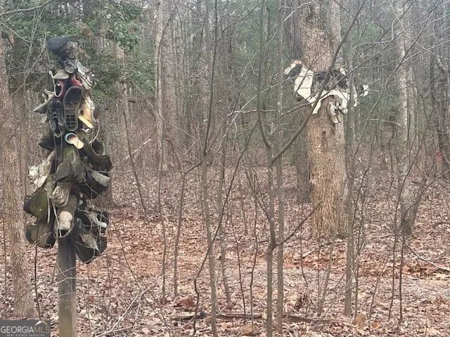 Lots & Land-Other in Dawsonville