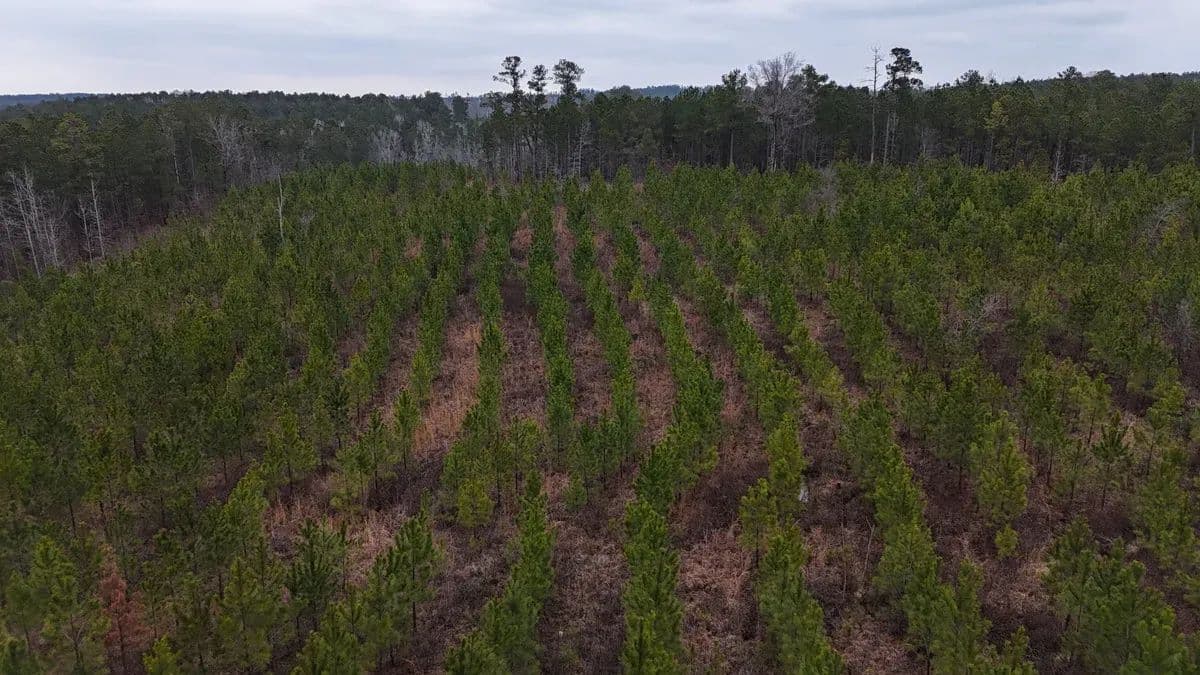 Chickasaw Pines at Lake Sinclair - Milledgeville, Georgia, 31061