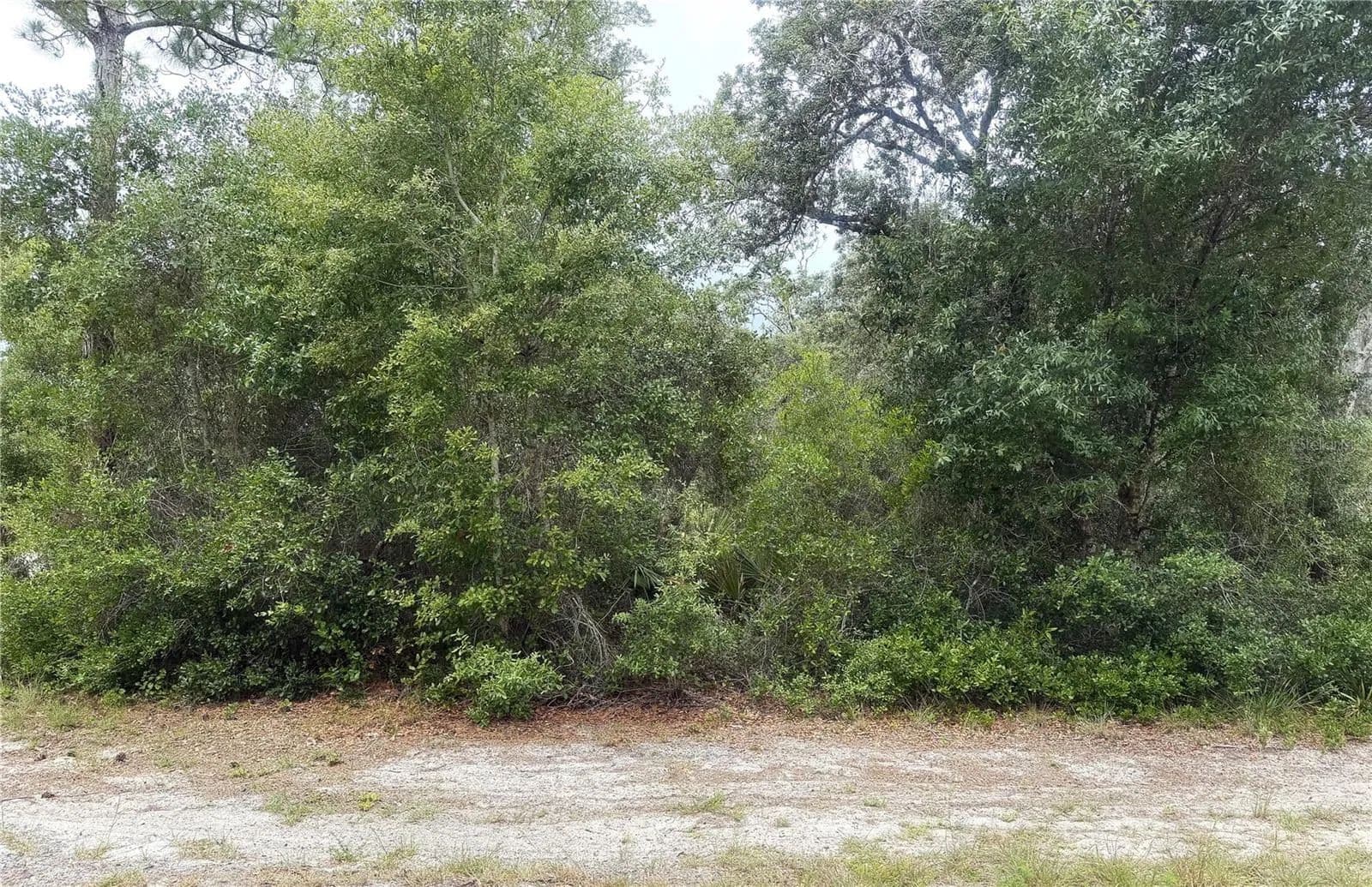 Property from 359 COOLIDGE AVENUE NE - KW - Lake Placid, Florida, 33852