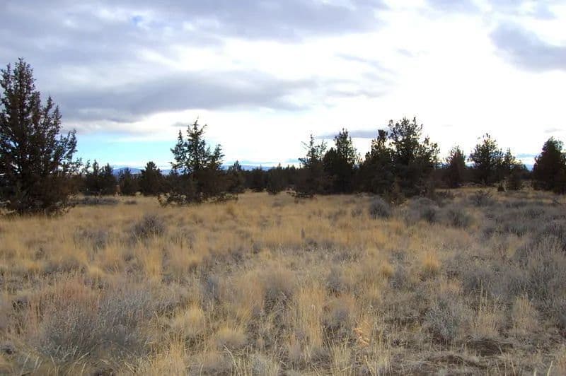 Vacant Land in Prineville