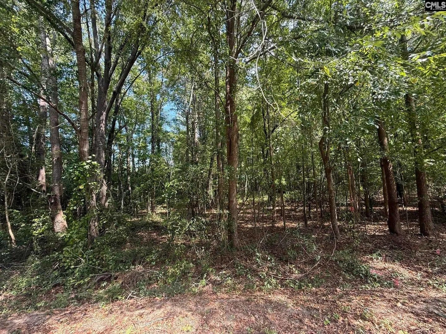 Vacant Land in Bethune - Bethune, South Carolina, 29009