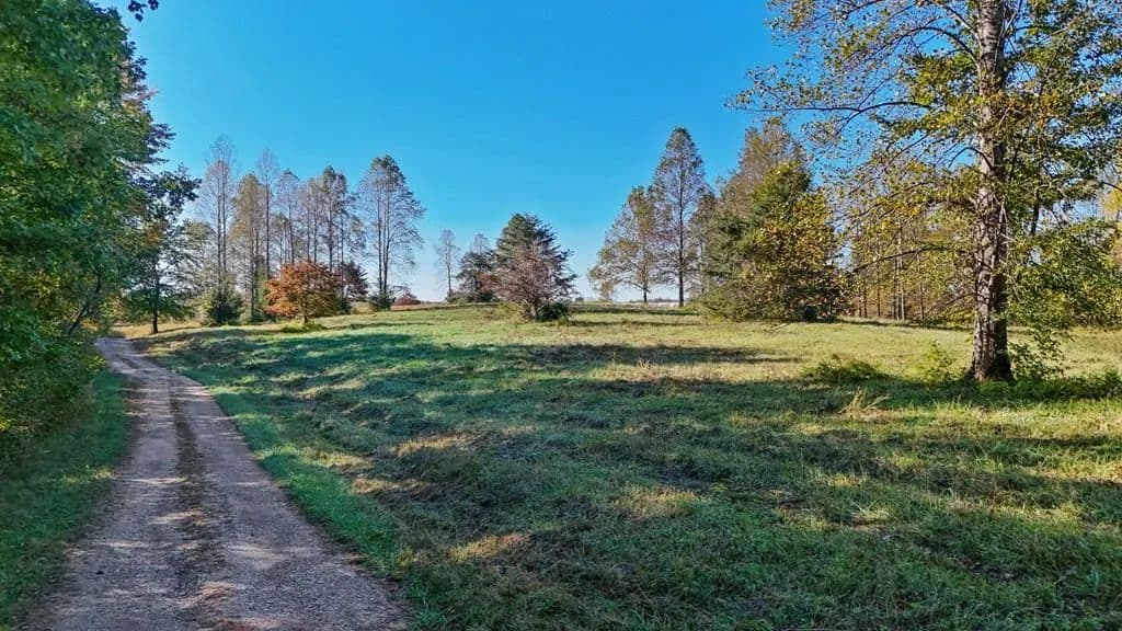 Vacant Land in Dillwyn - Dillwyn, Virginia, 23936