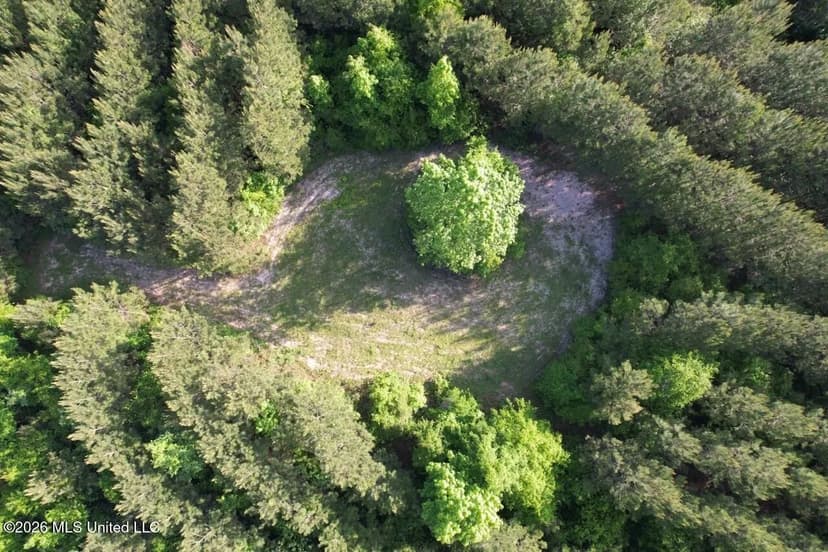 46 Acres in St. Helena Parish, LA Hunting Property for Sale