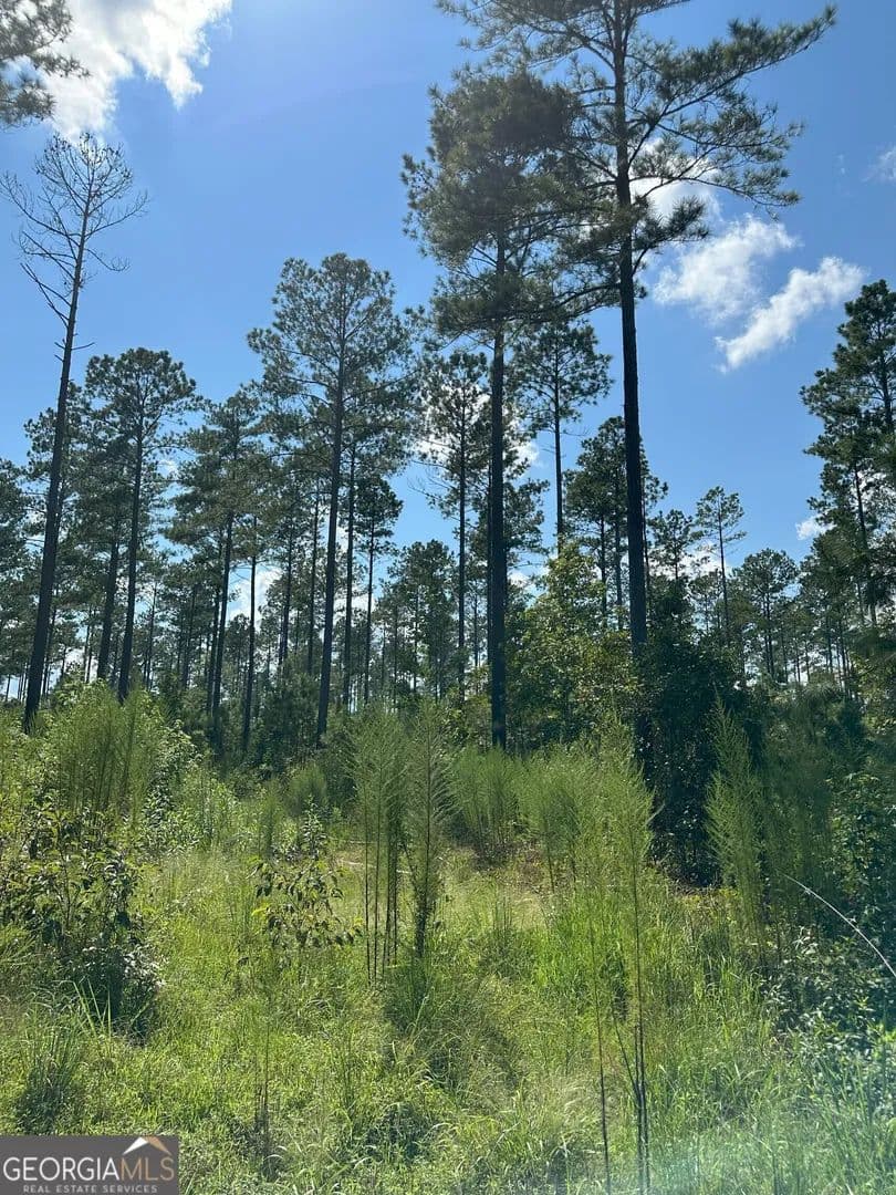 Property from 2470 Fears Road - KW