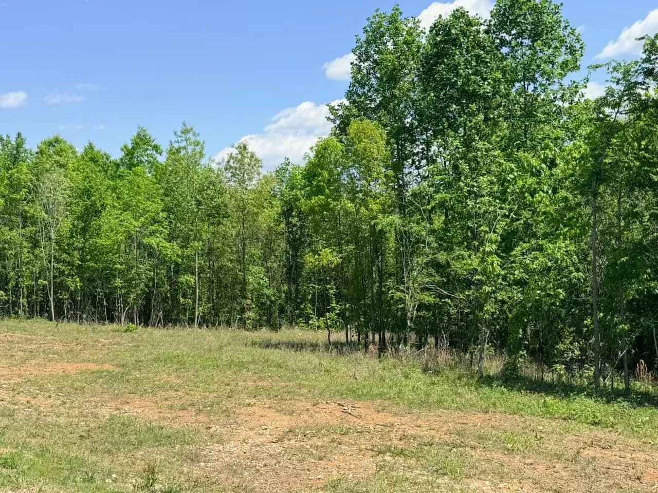 Vacant Land in Dover - Dover, Tennessee, 37058