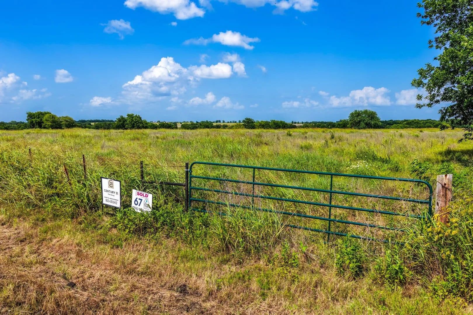 Vacant Land (0-10 Acres) in Pecan Gap - Pecan Gap, Texas, 75469