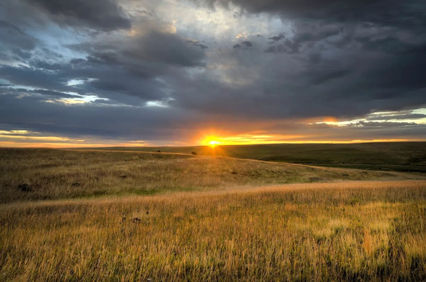 Lots at Last Dart Road - Kiowa, Colorado, 80117