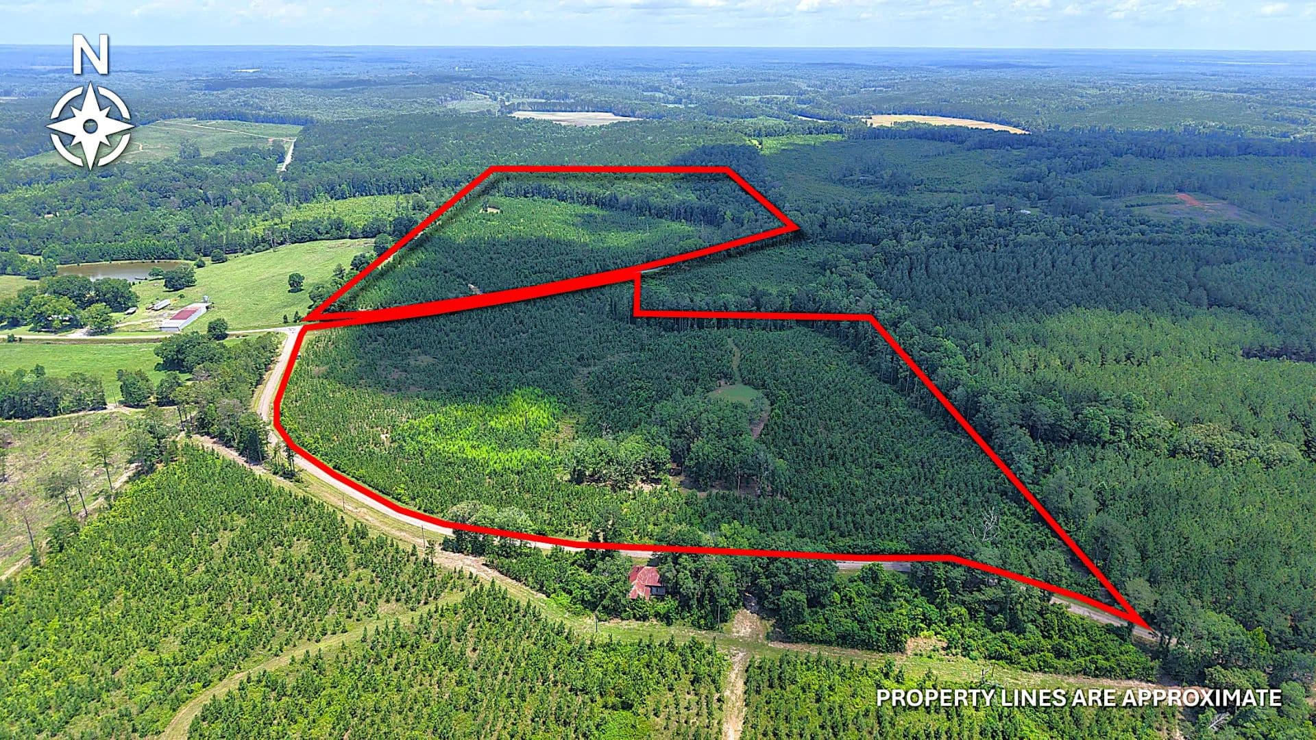 76.56 in Acres Bullock County, AL  - Banks, Alabama, 36005