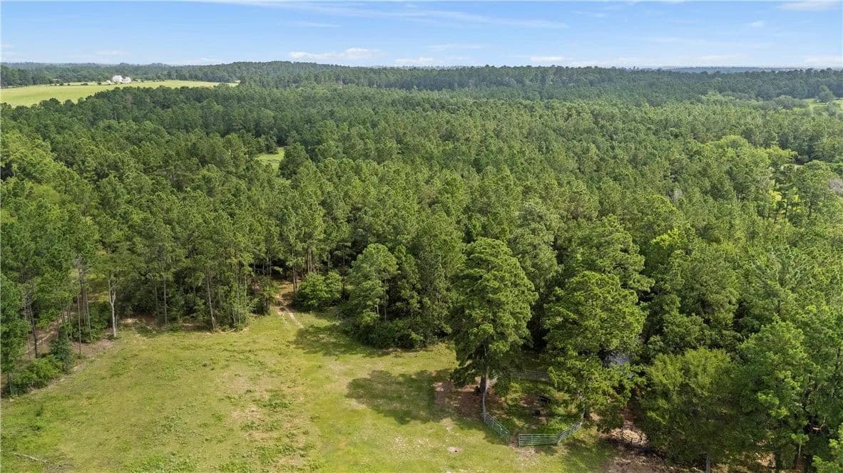 10.01 Acres of Land for Sale in Anderson, TX - Anderson, Texas, 77830