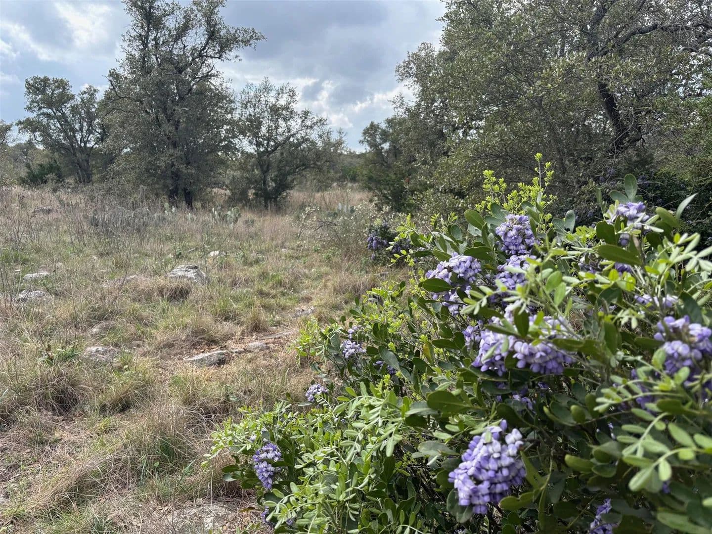 Vacant Land in Kingsland - Kingsland, Texas, 78639