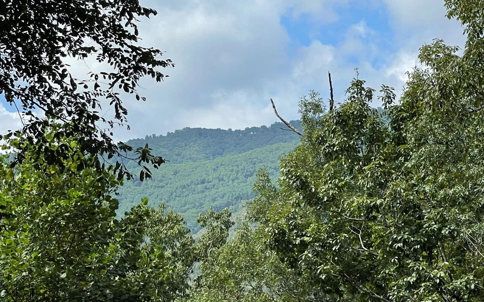 Lots & Land-Other in Hayesville - Hayesville, North Carolina, 28904