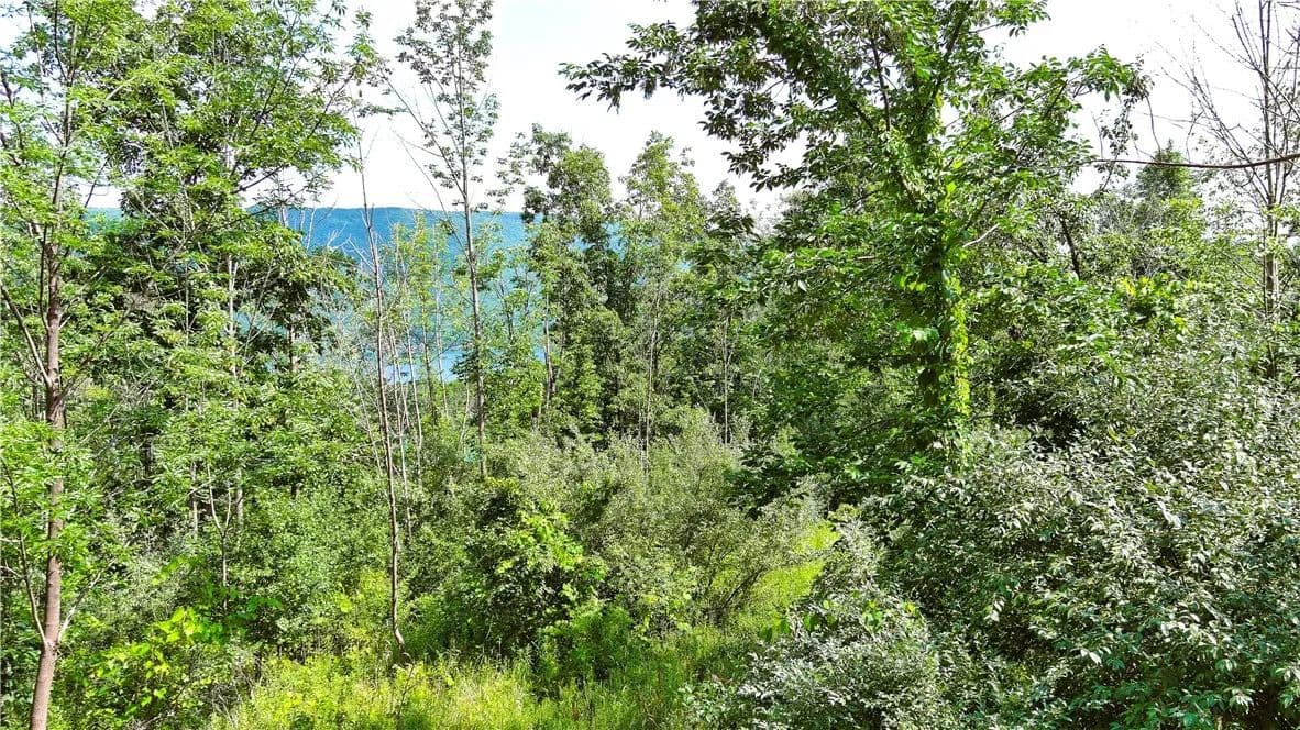 3 Acres of Land for Sale in Naples, NY - Naples, New York, 14512
