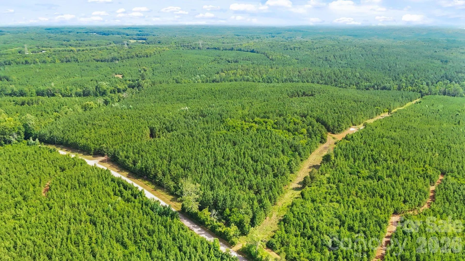 233.56 Acres of Land for Sale in Sharon, SC - Sharon, South Carolina, 29742