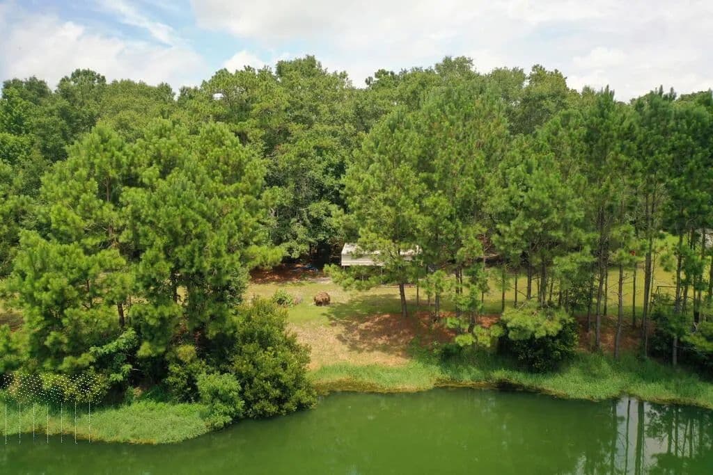 5 Acres of Land for Sale in Richmond Hill, GA - Richmond Hill, Georgia, 31324