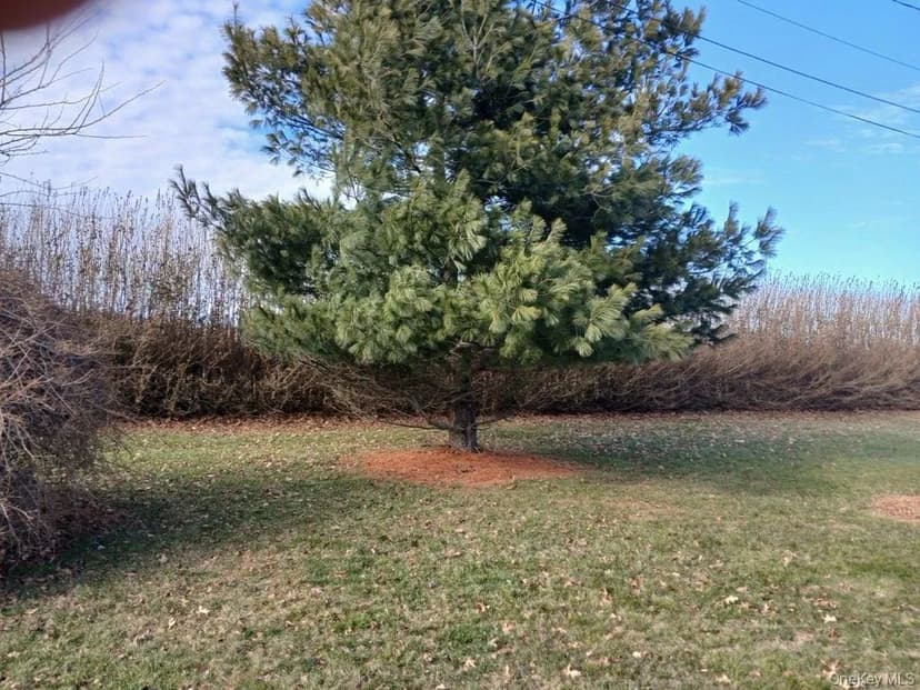 Lots & Land-Other in Cutchogue