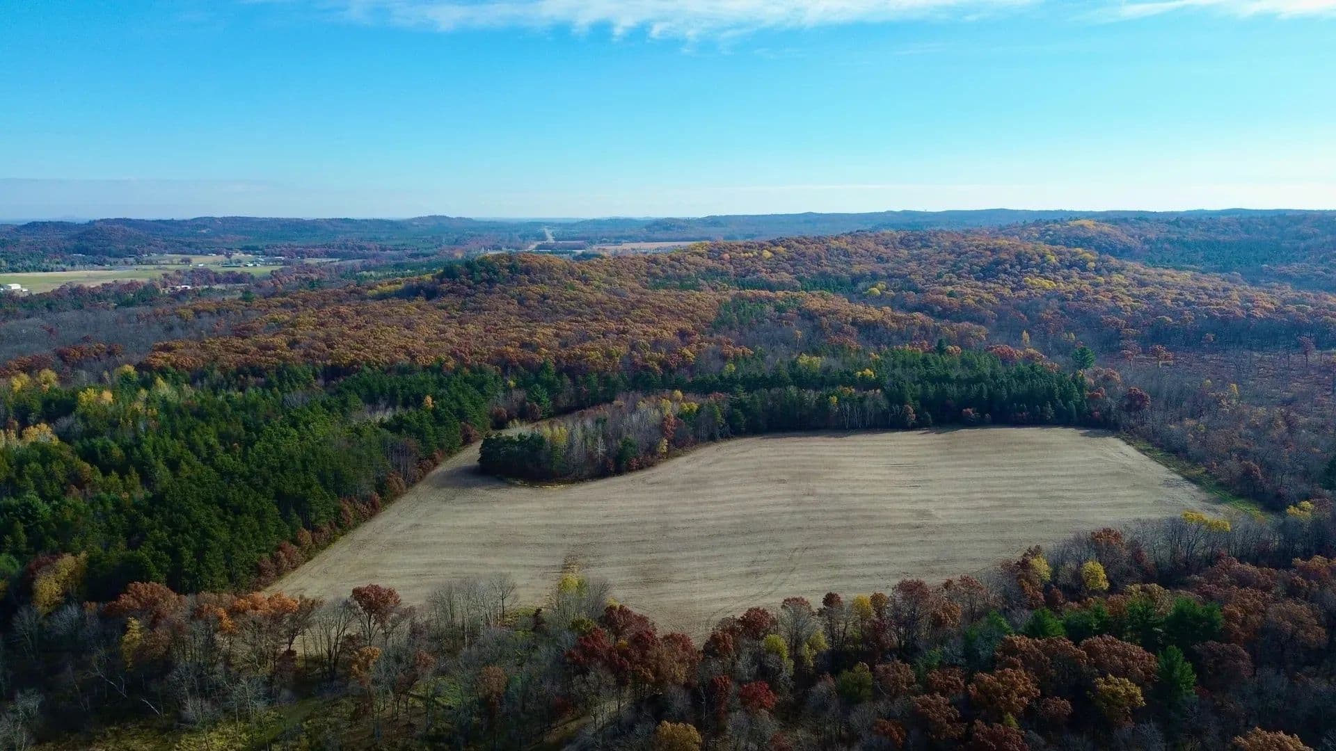 65 Acres of Land for Sale in Fairchild, WI - Fairchild, Wisconsin, 54758