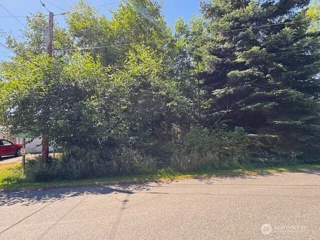 Vacant Land in Coupeville