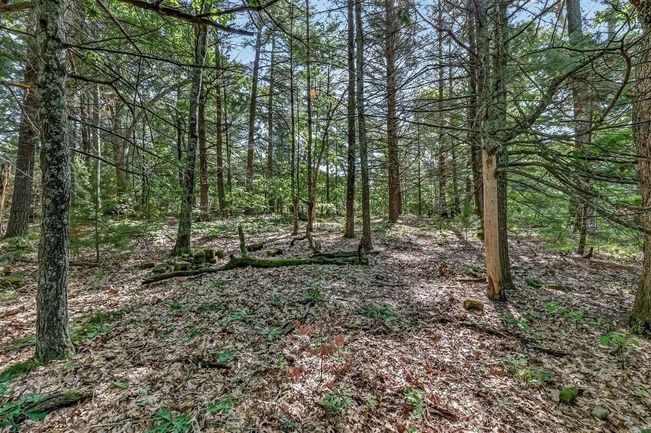 0.54 Acres of Land for Sale in Twin Lake, MI - Twin Lake, Michigan, 49457