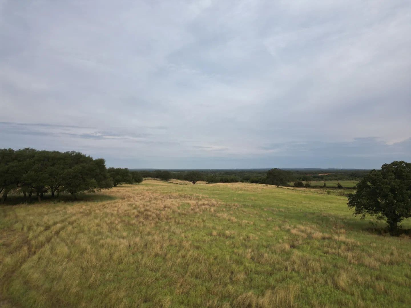 New Listing!! 59.445 Ac, Callahan County - Cross Plains, Texas, 76443