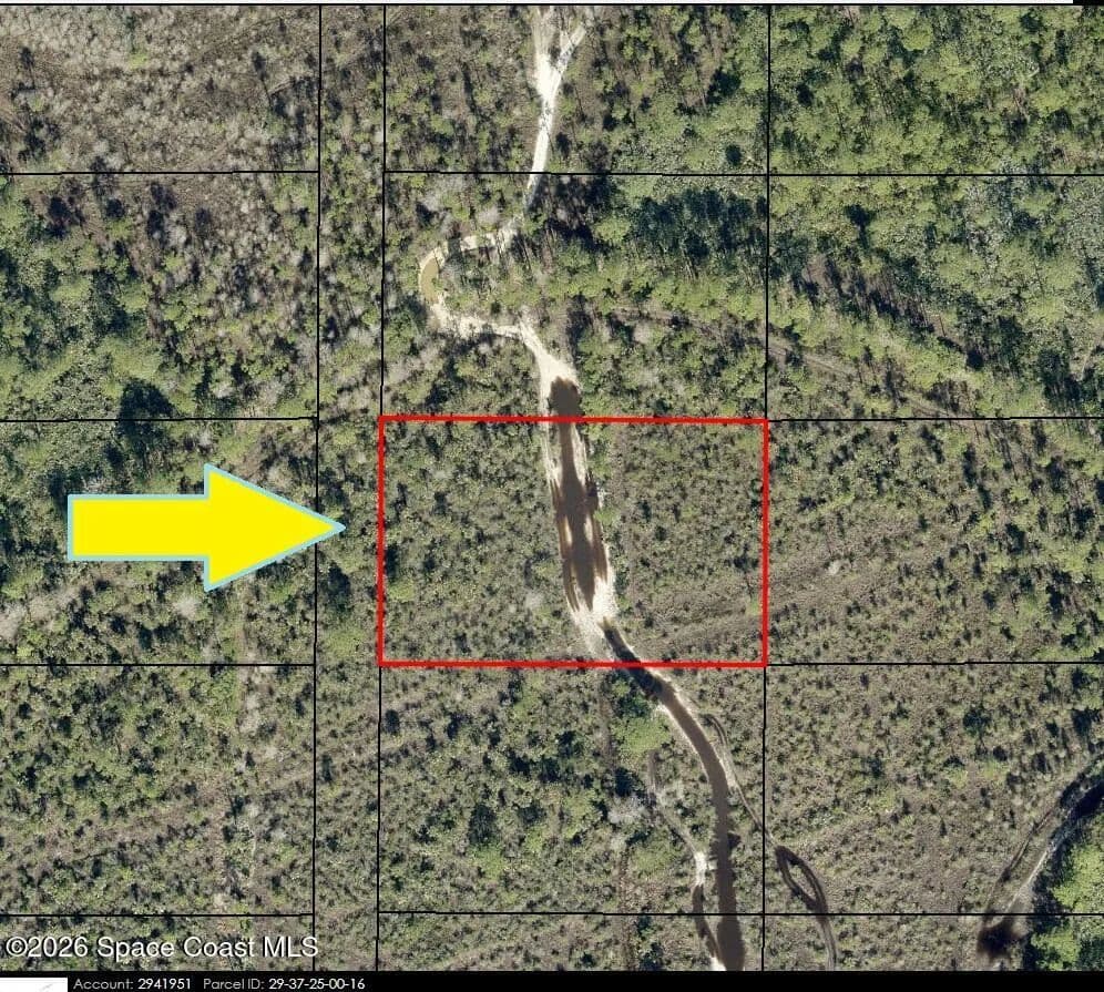 Vacant Land in Grant - Grant, Florida, 32949