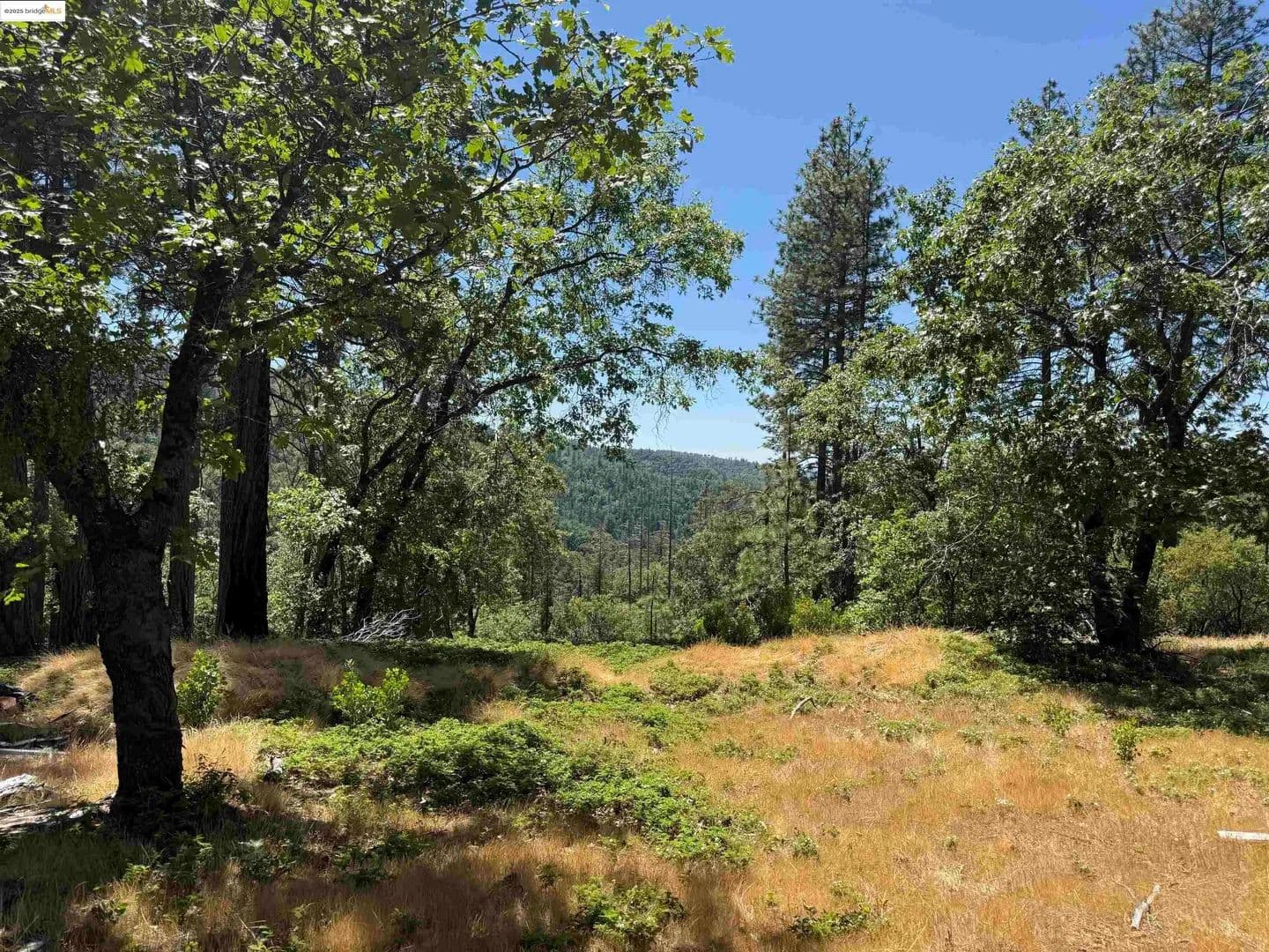 Lots & Land-Other in Sonora - Sonora, California, 95370