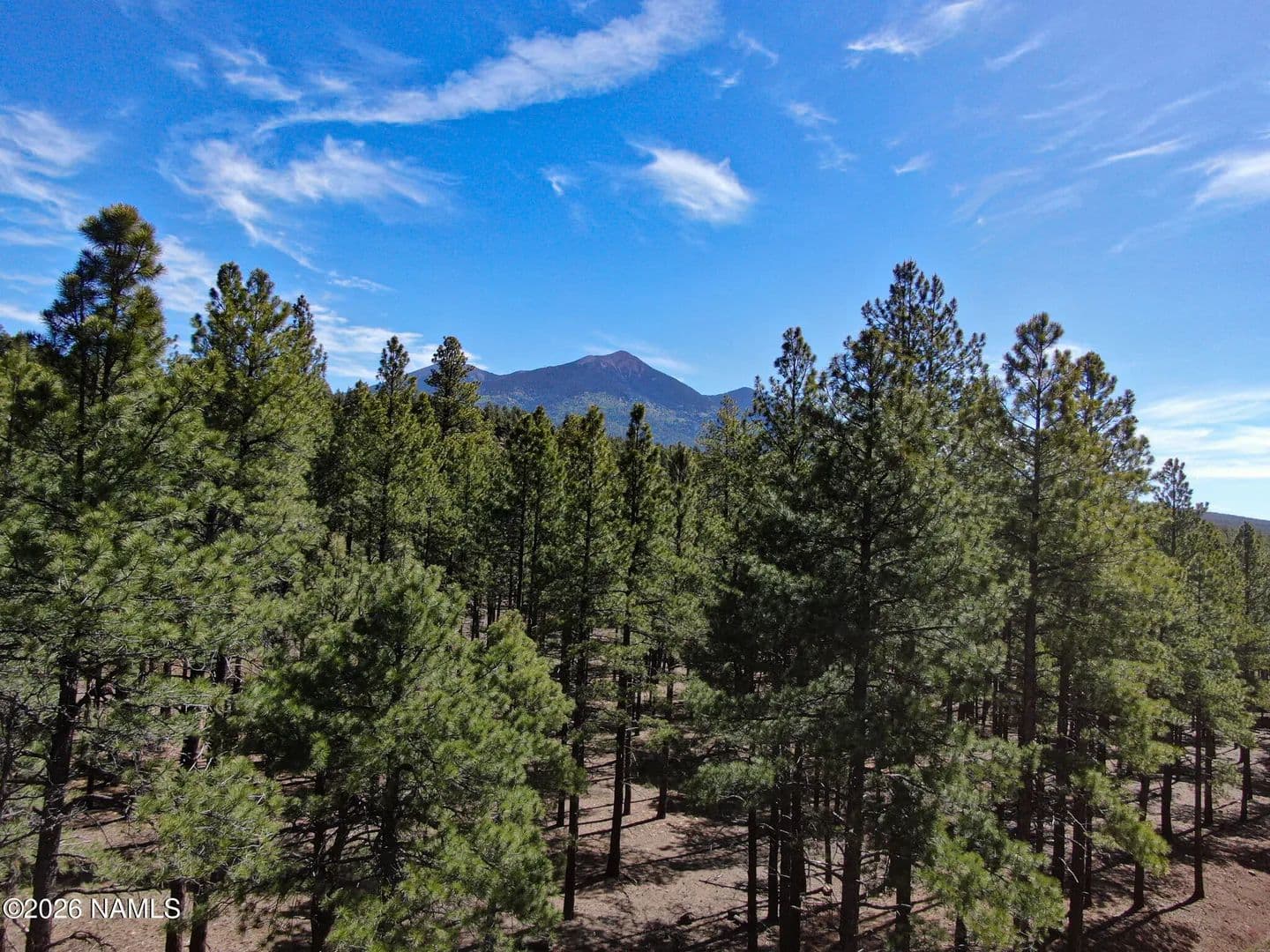 Property from 7690 W Taylor Springs Lane - KW - Flagstaff, Arizona, 86001