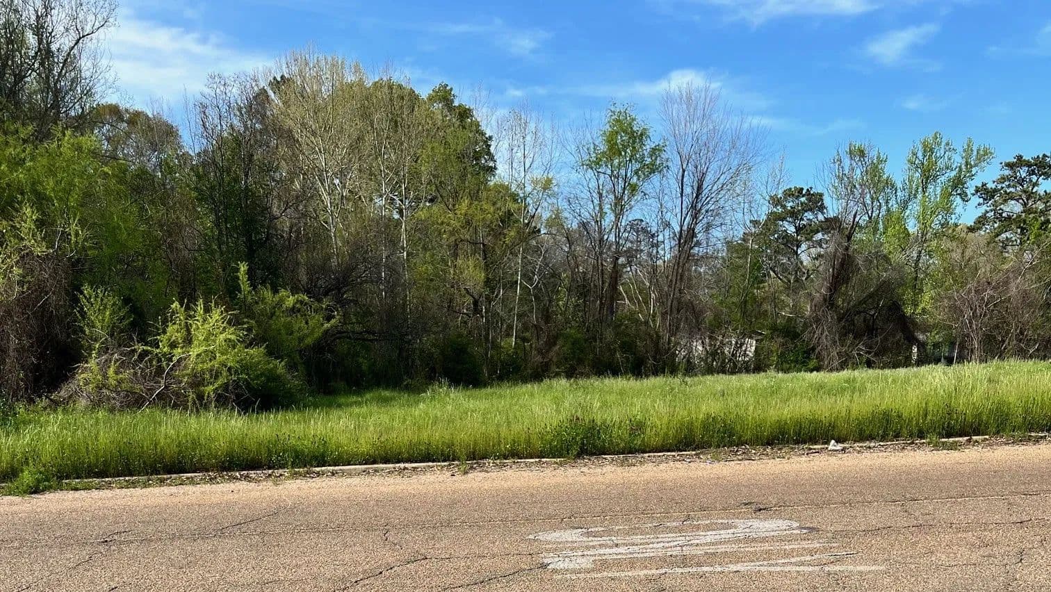 Vacant Land (0-10 Acres) in Jackson - Jackson, Mississippi, 39212