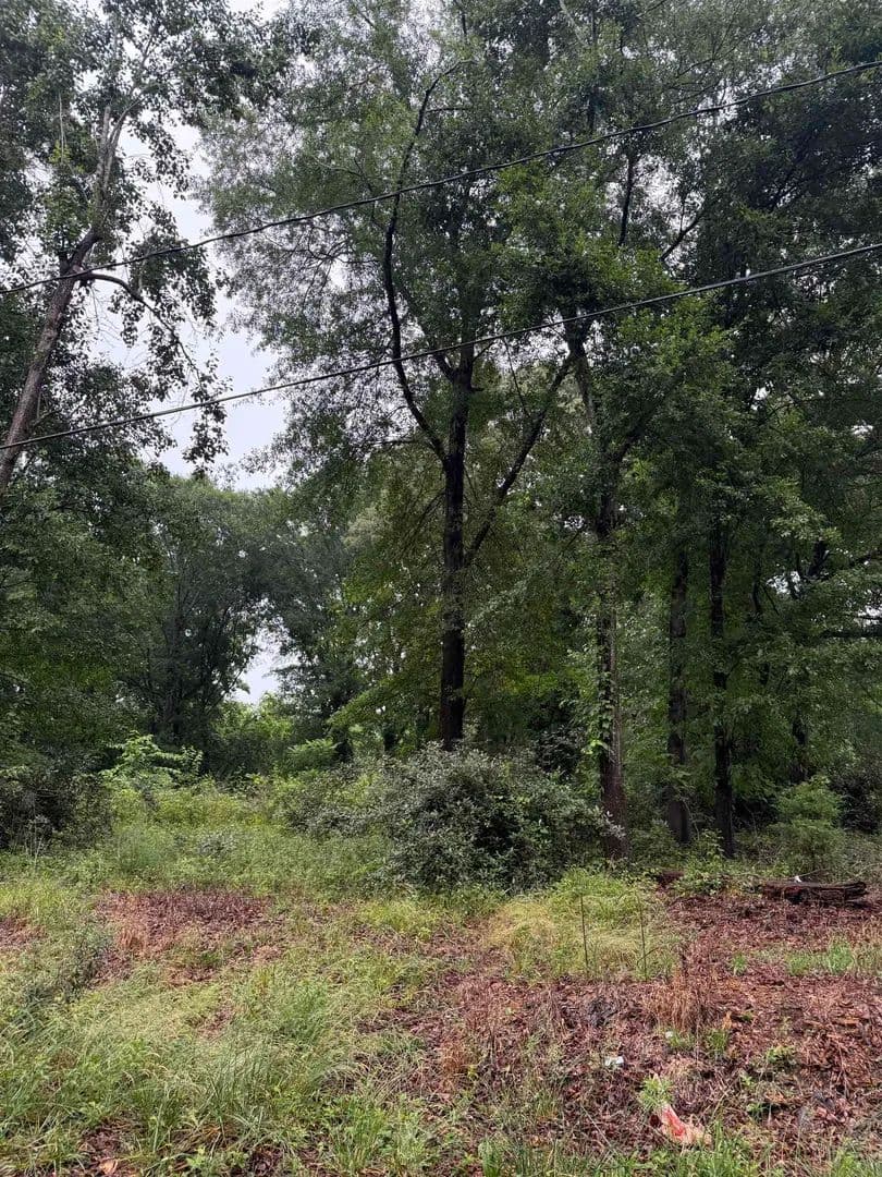 Vacant Land in Spartanburg - Spartanburg, South Carolina, 29307