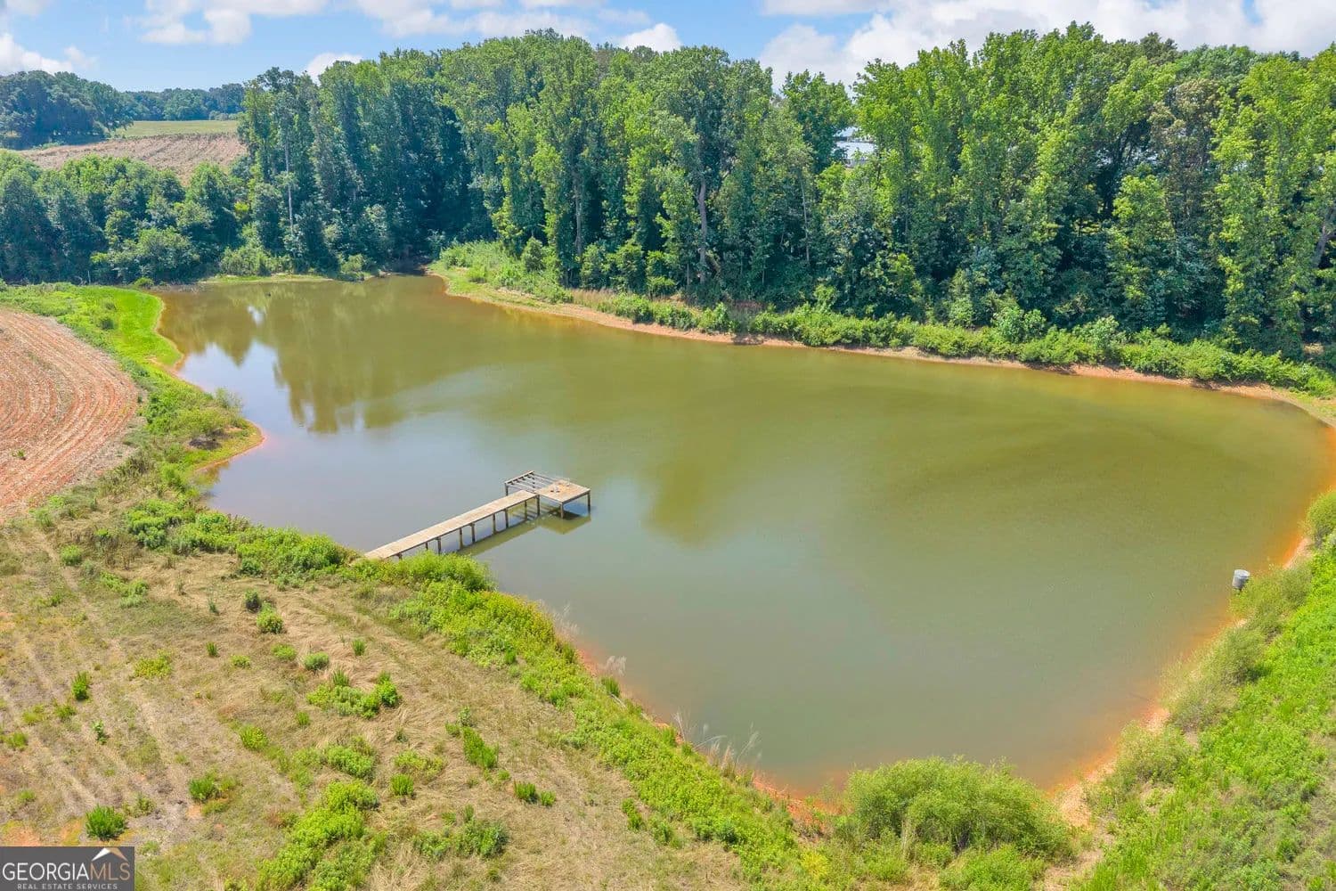 51.57 Acres of Land for Sale in Lavonia, Georgia - Lavonia, Georgia, 30553