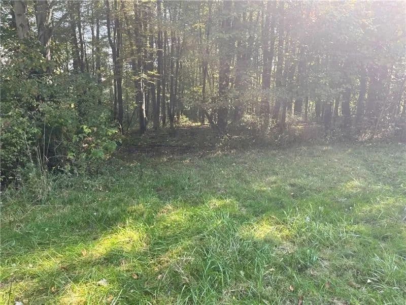 Property from Lot #3 Old Plank Road - KW