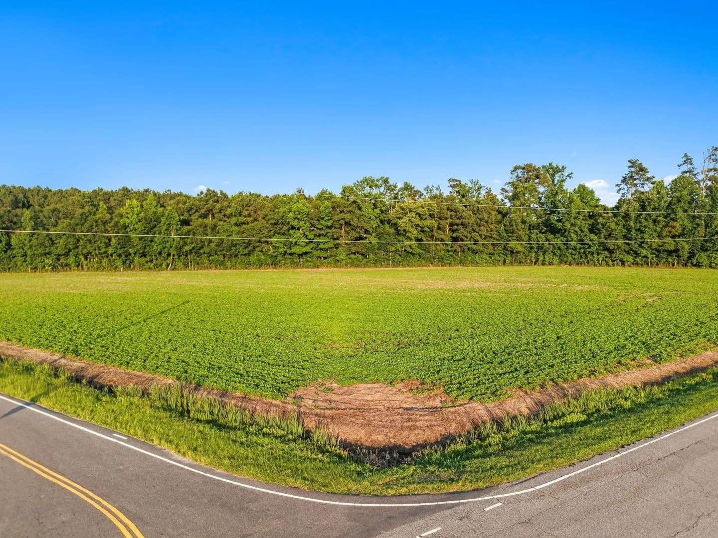 Vacant Land in Nichols - Nichols, South Carolina, 29581