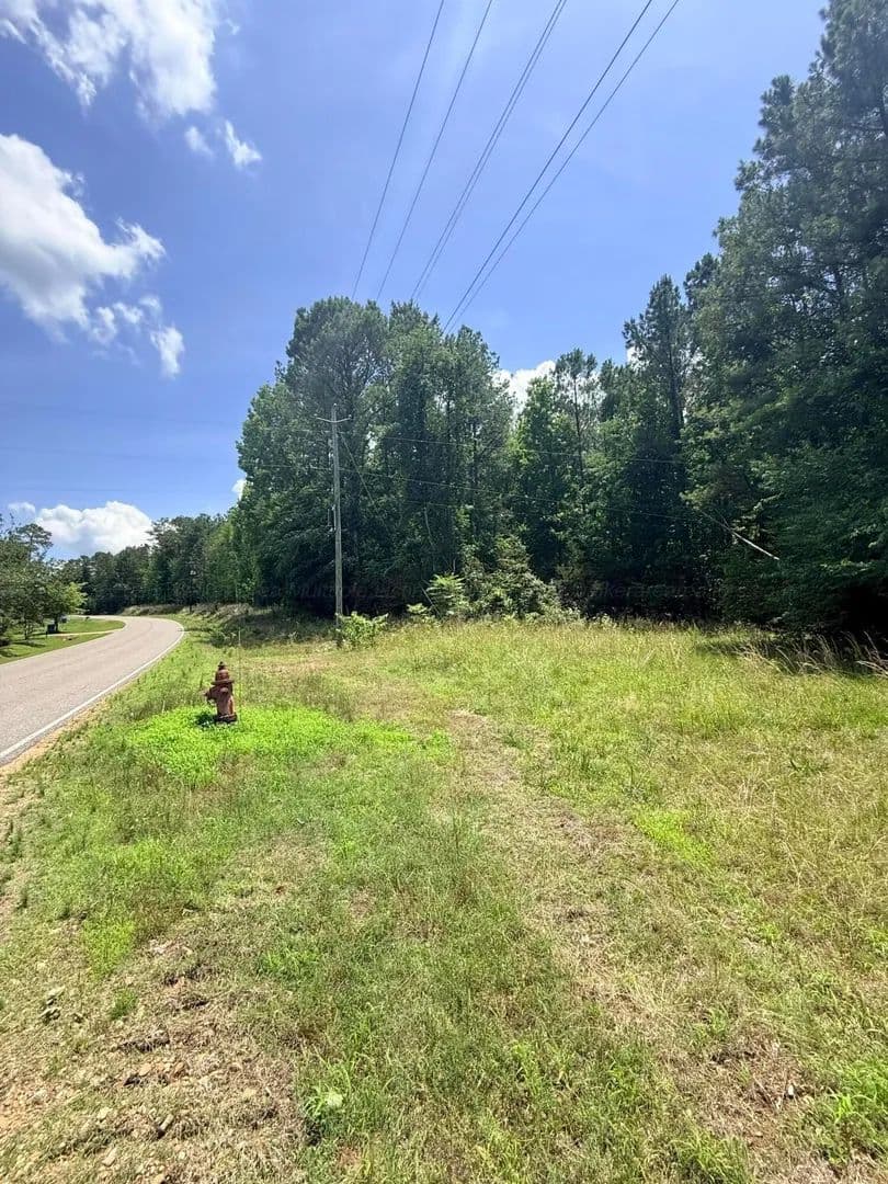 5 Acres of Land for Sale in Beaverton, Alabama - Beaverton, Alabama, 35544