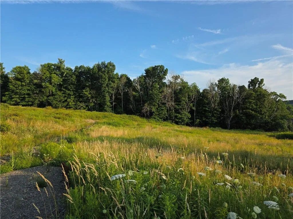 Land -Single Family Acreage in Unadilla - Unadilla, New York, 13849